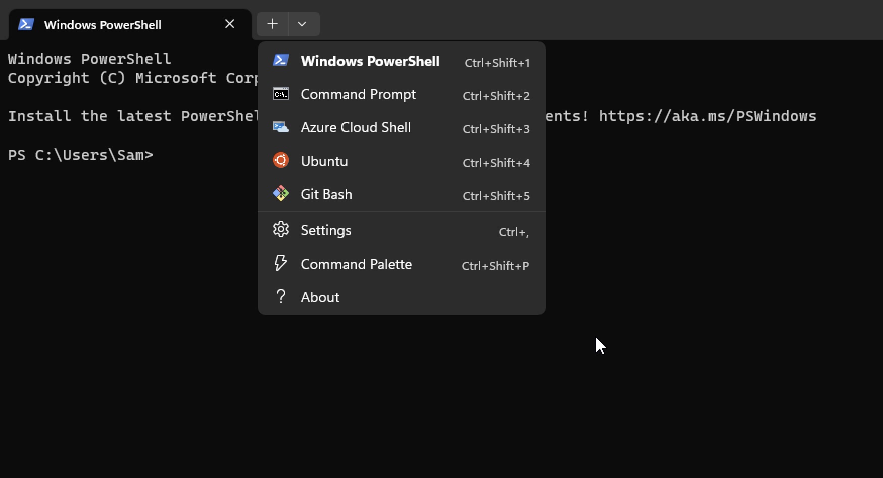 How to Add Git Bash Option to Windows Terminal List